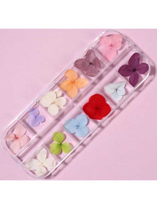 Сухоцветы для декора «Нежность», 12 видов, в футляре, цвет разноцветный