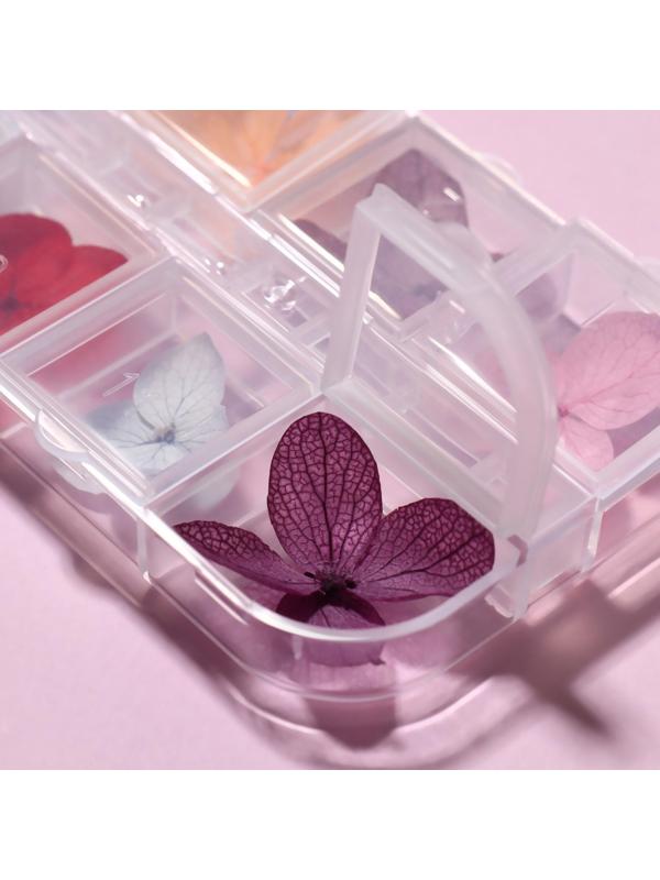 Сухоцветы для декора «Нежность», 12 видов, в футляре, цвет разноцветный