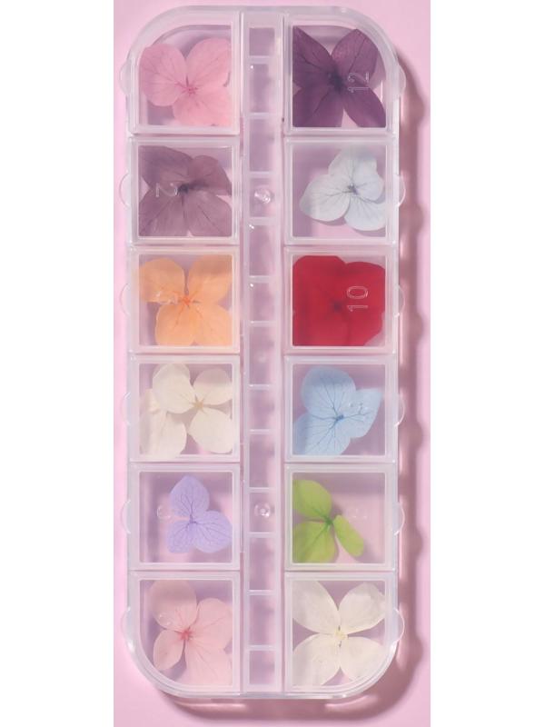 Сухоцветы для декора «Нежность», 12 видов, в футляре, цвет разноцветный