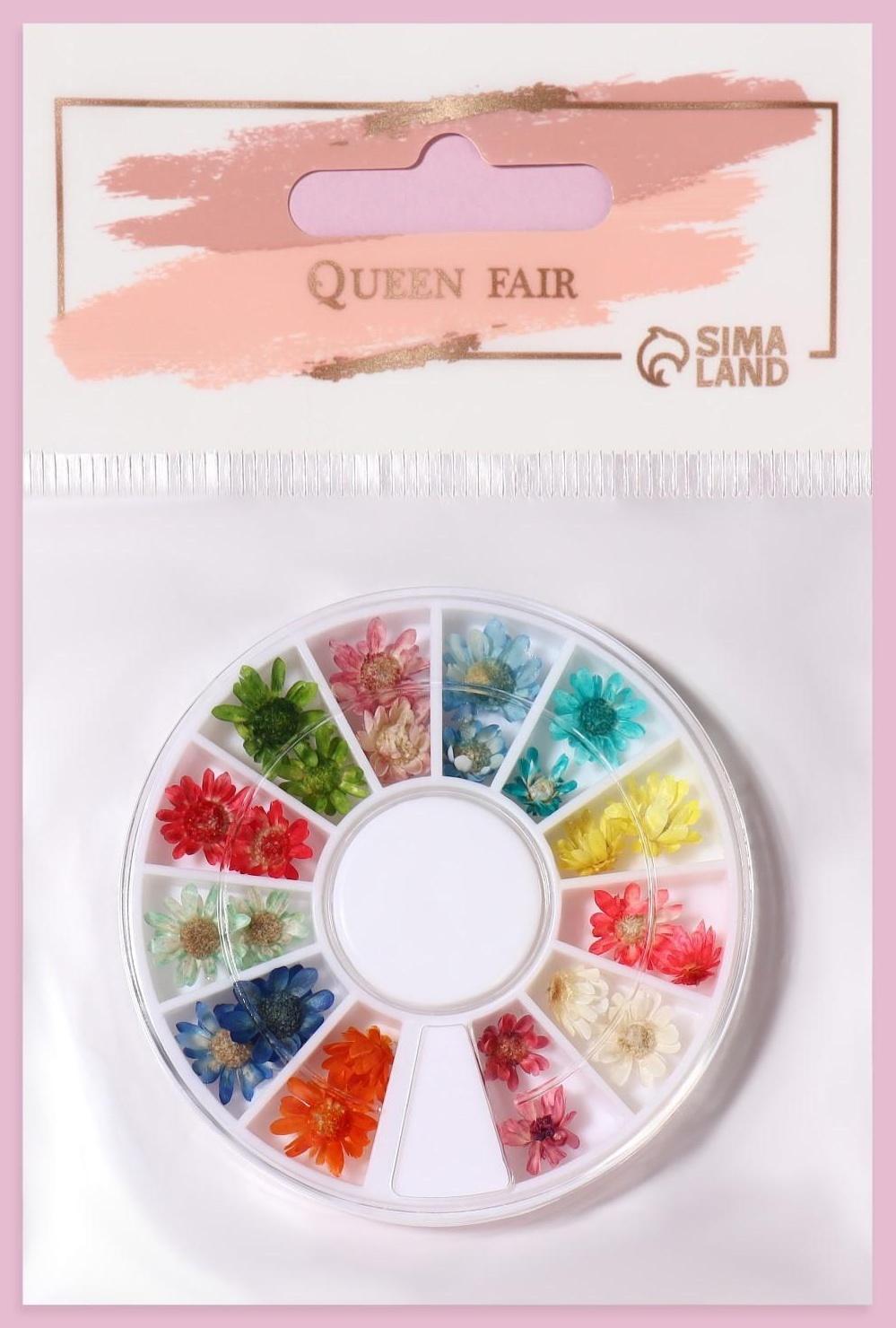 Сухоцветы для декора «Ромашки», 12 видов, в футляре, цвет разноцветный