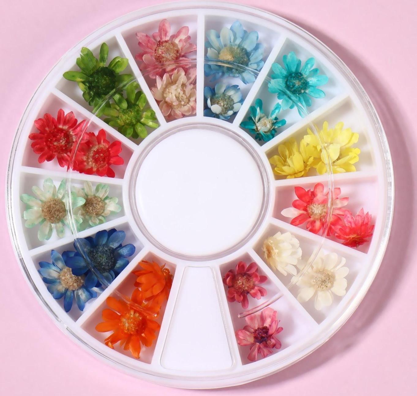 Сухоцветы для декора «Ромашки», 12 видов, в футляре, цвет разноцветный