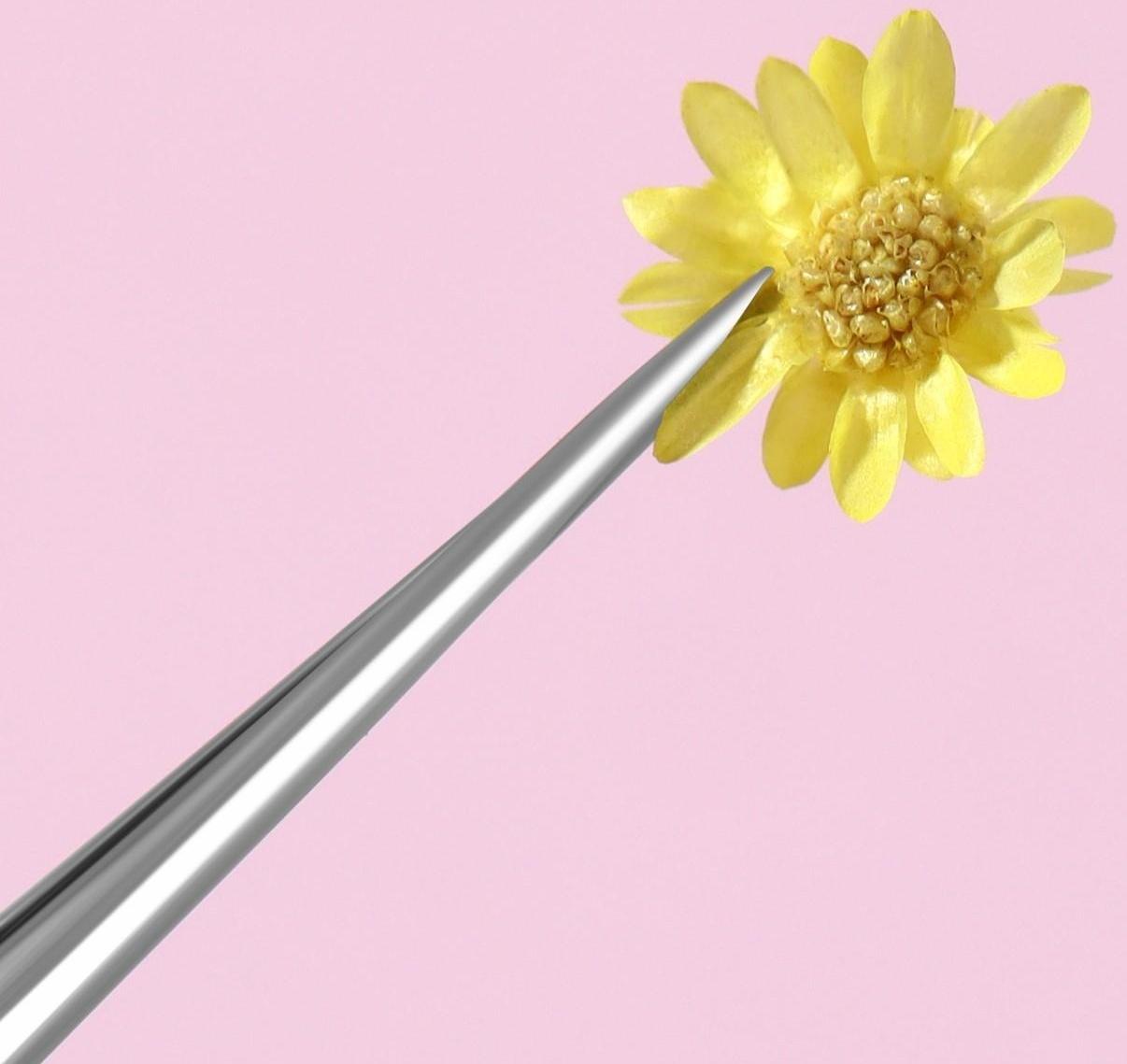 Сухоцветы для декора «Ромашки», 12 видов, в футляре, цвет разноцветный