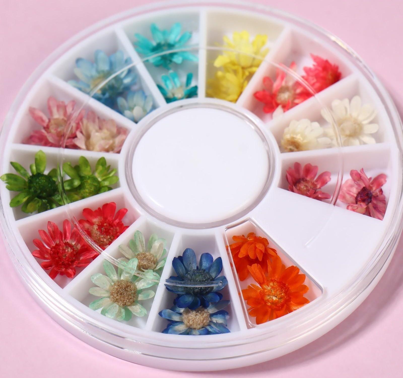 Сухоцветы для декора «Ромашки», 12 видов, в футляре, цвет разноцветный