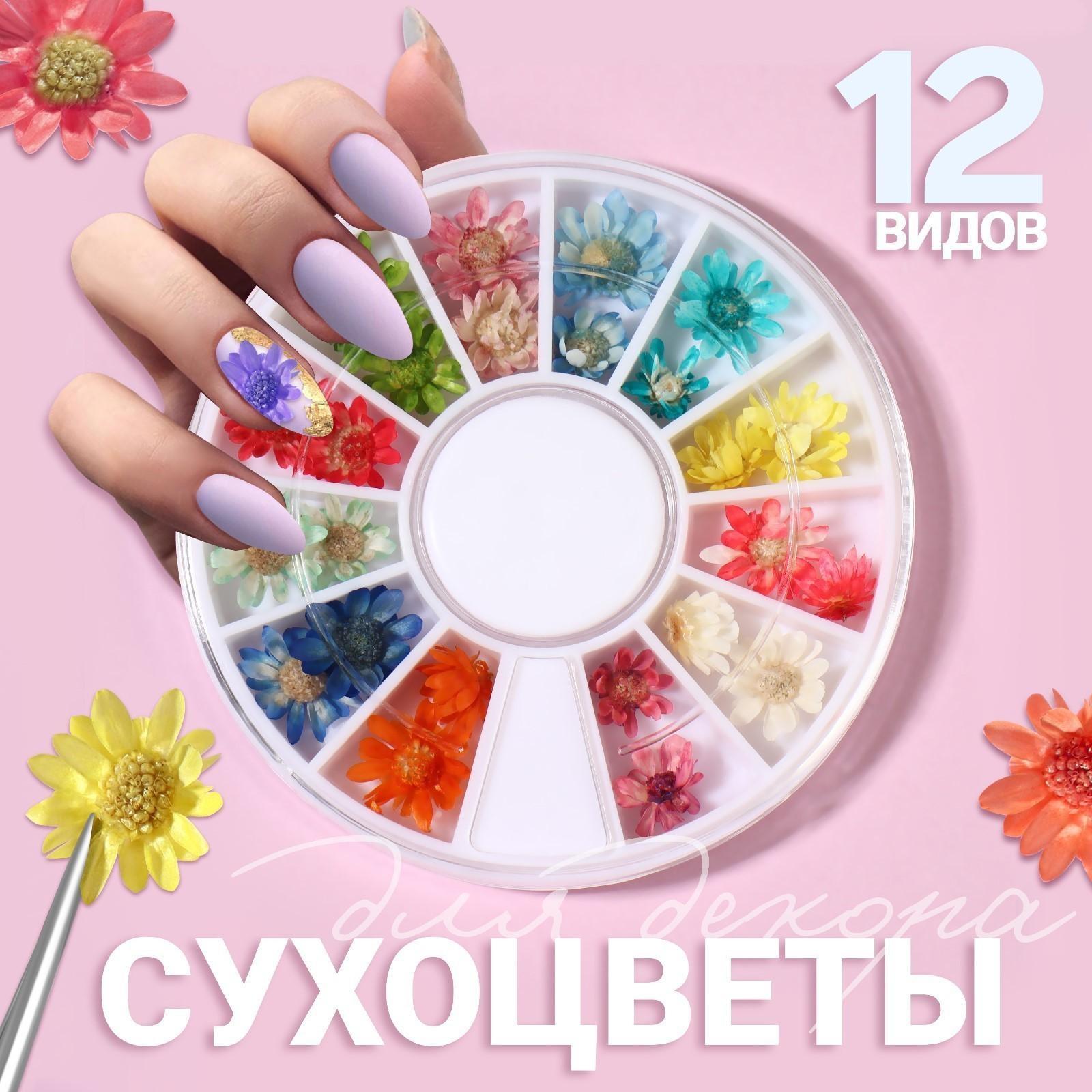 Сухоцветы для декора «Ромашки», 12 видов, в футляре, цвет разноцветный