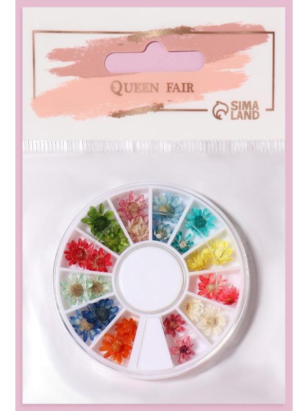 Сухоцветы для декора «Ромашки», 12 видов, в футляре, цвет разноцветный