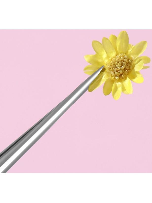 Сухоцветы для декора «Ромашки», 12 видов, в футляре, цвет разноцветный