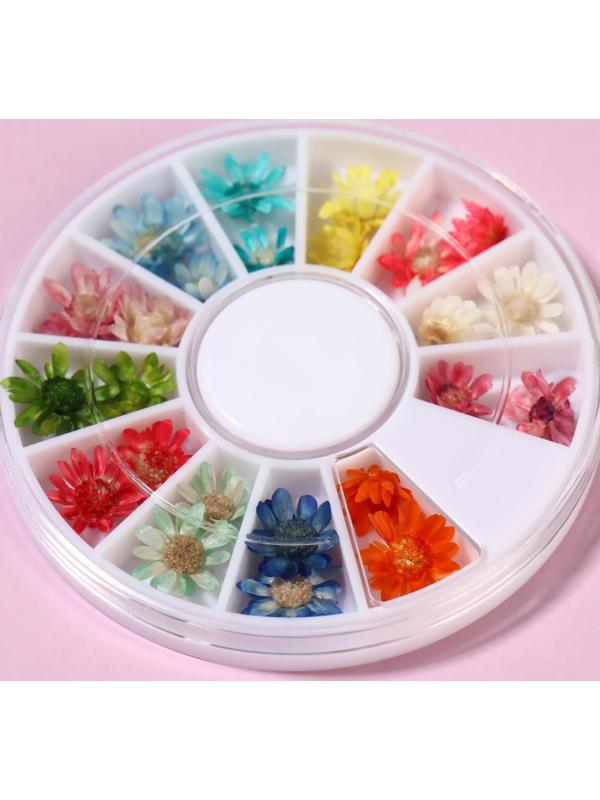 Сухоцветы для декора «Ромашки», 12 видов, в футляре, цвет разноцветный