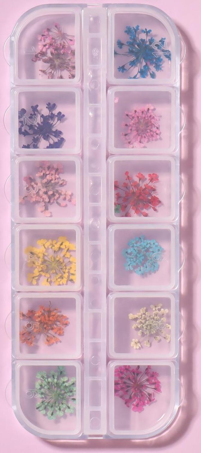 Сухоцветы для декора, 12 видов, в футляре, цвет разноцветный