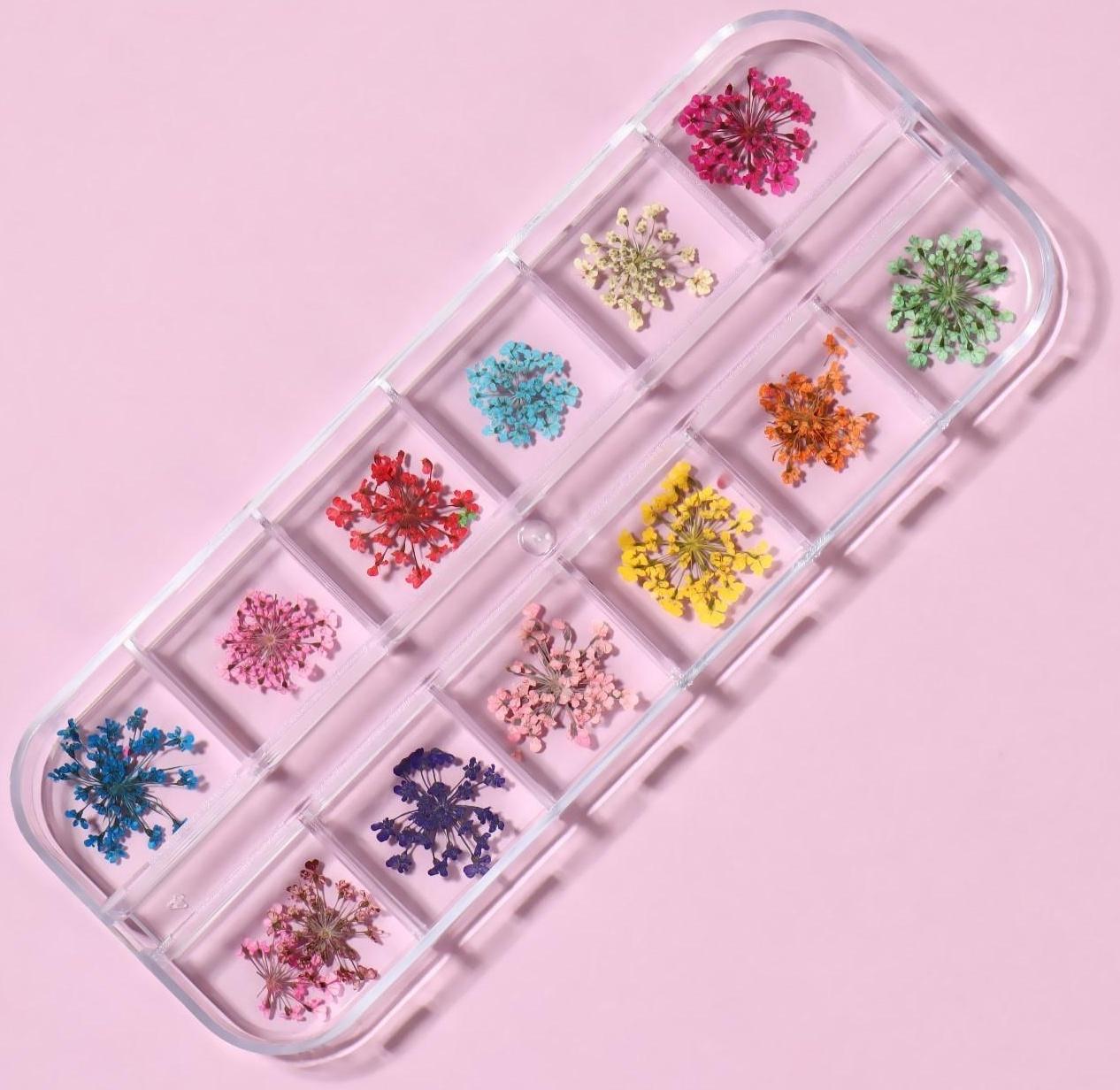 Сухоцветы для декора, 12 видов, в футляре, цвет разноцветный