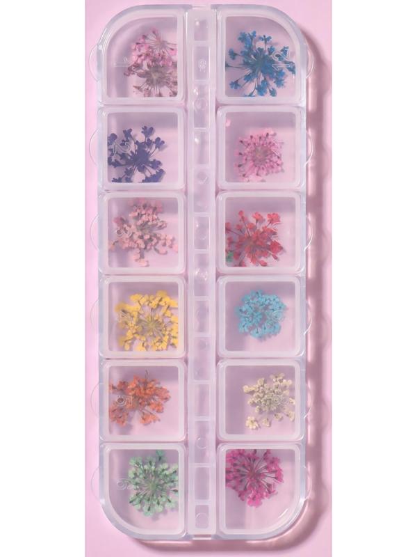 Сухоцветы для декора, 12 видов, в футляре, цвет разноцветный