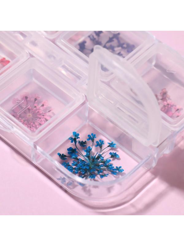 Сухоцветы для декора, 12 видов, в футляре, цвет разноцветный