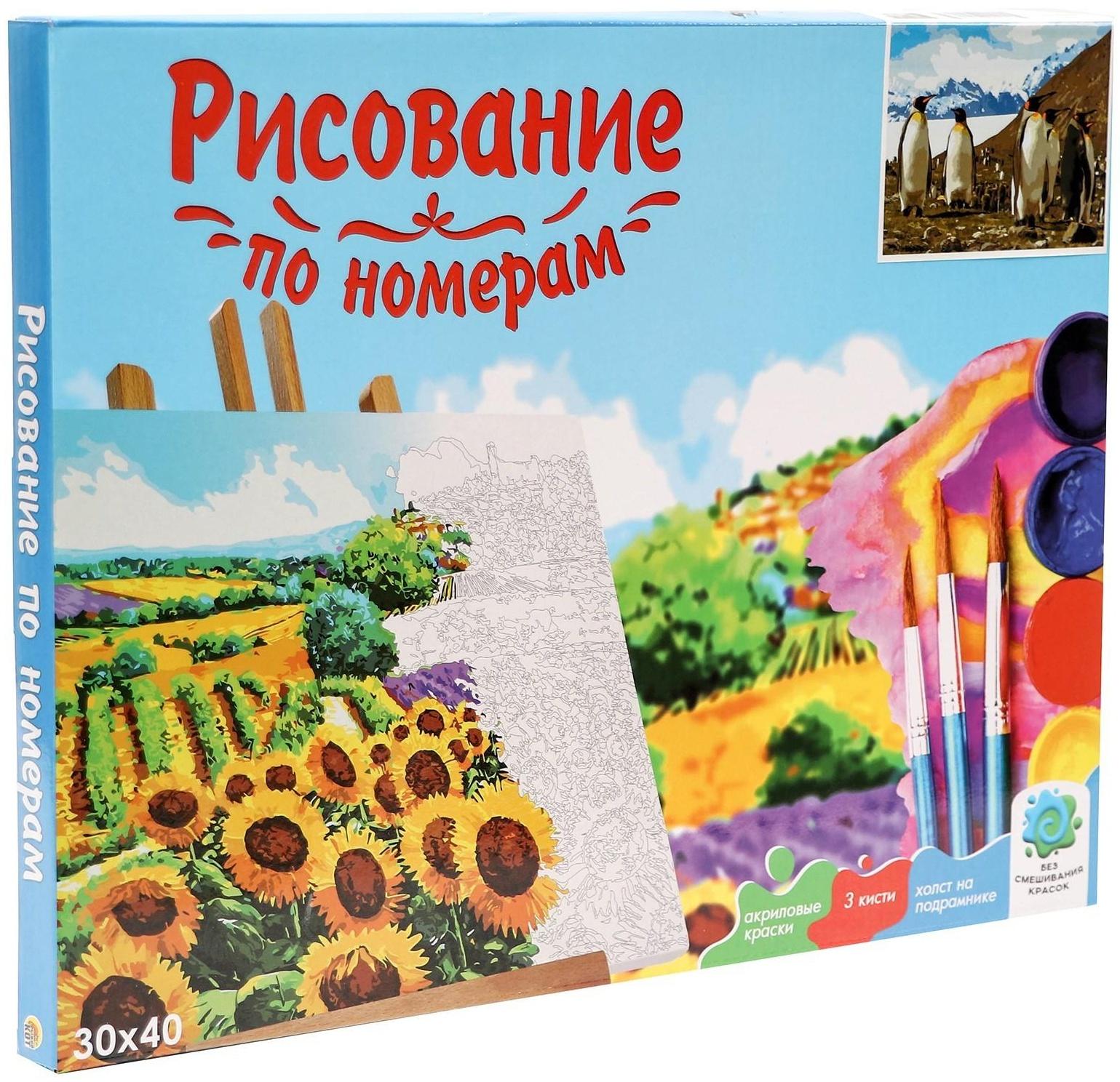 Холст с красками 30 × 40 см, «Королевские пингвины»