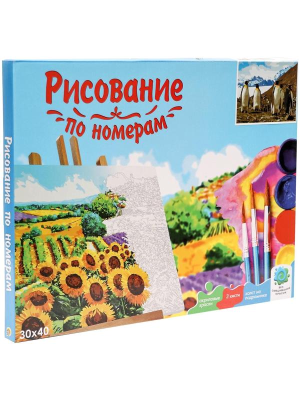 Холст с красками 30 × 40 см, «Королевские пингвины»