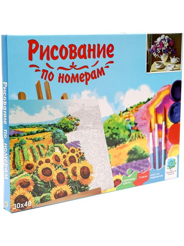 Холст с красками 30 × 40 см, по номерам «Ароматное солнечное утро»