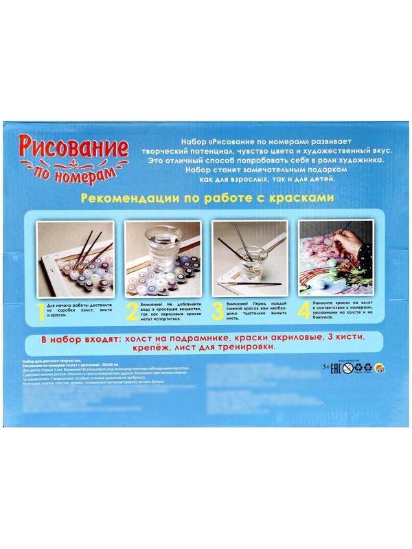 Холст с красками 30 × 40 см, по номерам «Розовые розы и натуральный жемчуг»