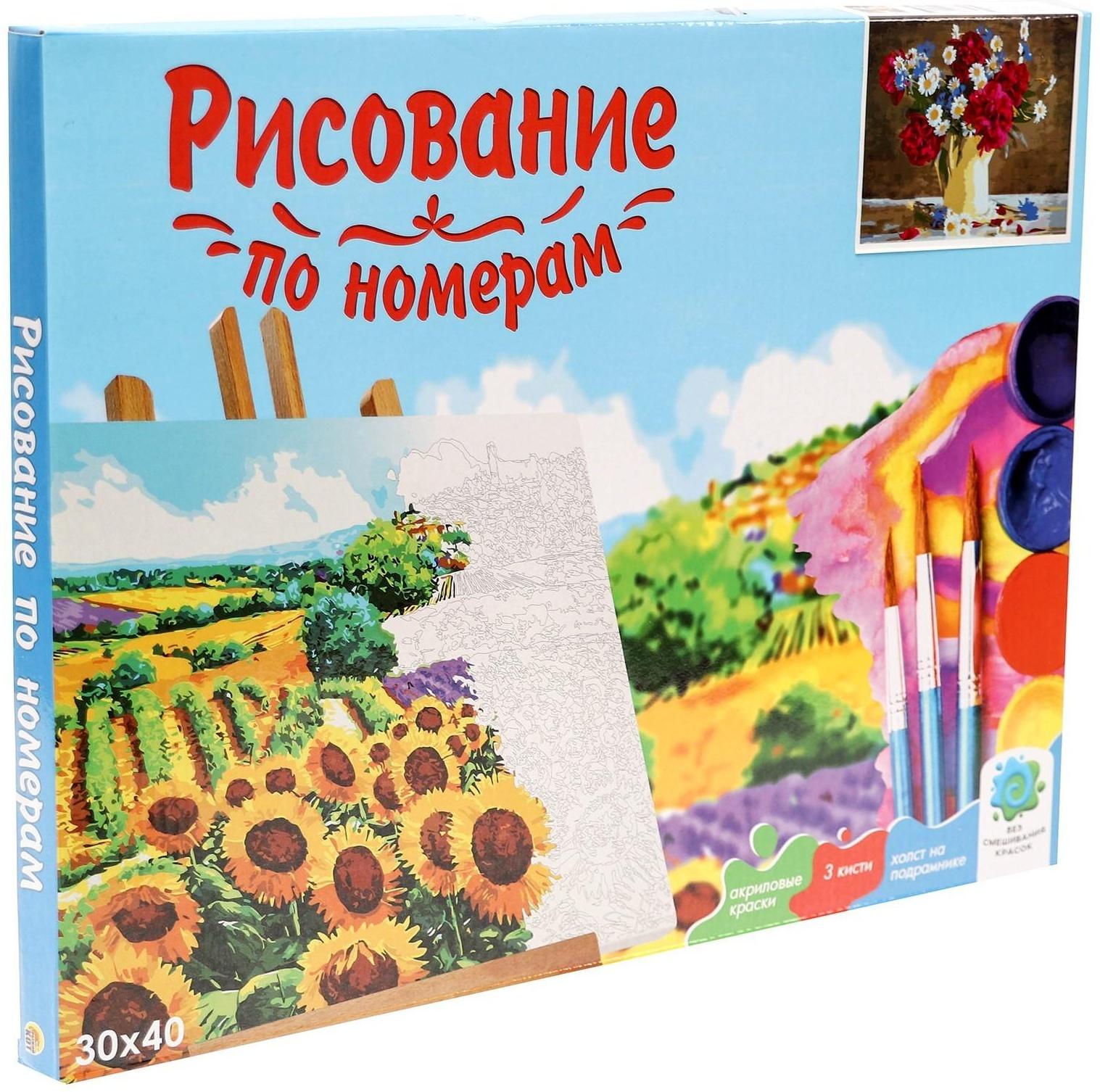 Холст с красками 30 × 40 см, по номерам «Садовые цветы в чайничке»