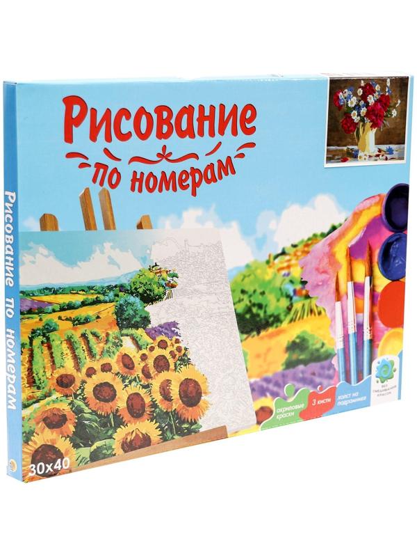 Холст с красками 30 × 40 см, по номерам «Садовые цветы в чайничке»