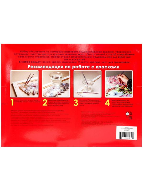 Холст с красками 30 × 40 см, по номерам, 20 цв. «Удивительная красота природы»