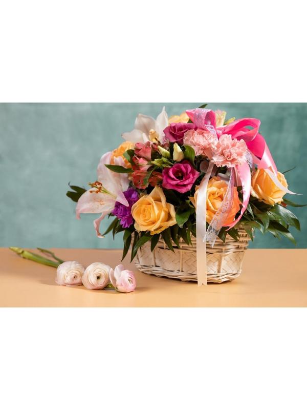 Холст с красками 30 × 40 см, по номерам, 20 цв. «Удивительная красота природы»