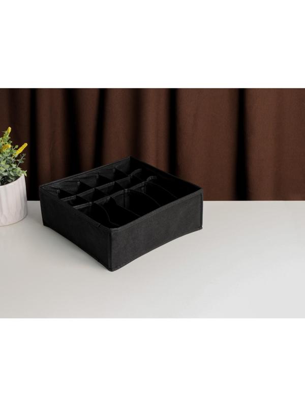 Органайзер для белья «Смарт», 15 отделений, 30×30×11 см, цвет черный