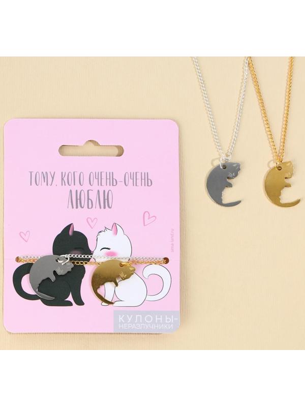 Кулоны неразлучники «Тому кого люблю», 2 шт, длина 40 см