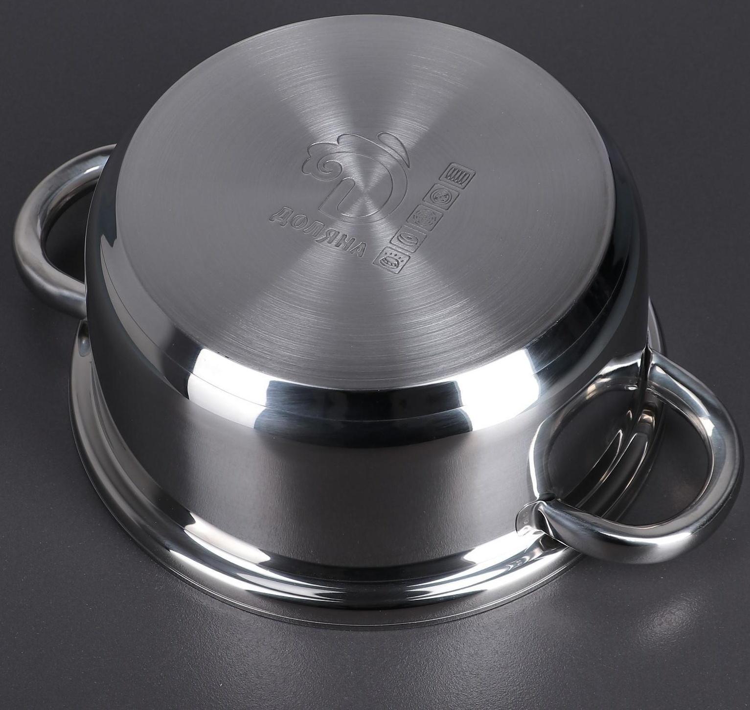 Соковарка из нержавеющей стали Доляна, 5,8 л, d=23 см, индукция, стеклянная крышка, цвет хромированный