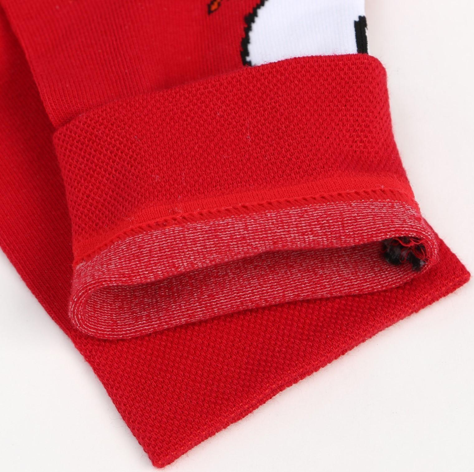 Носки мужские, цвет красный/гусь, размер 25