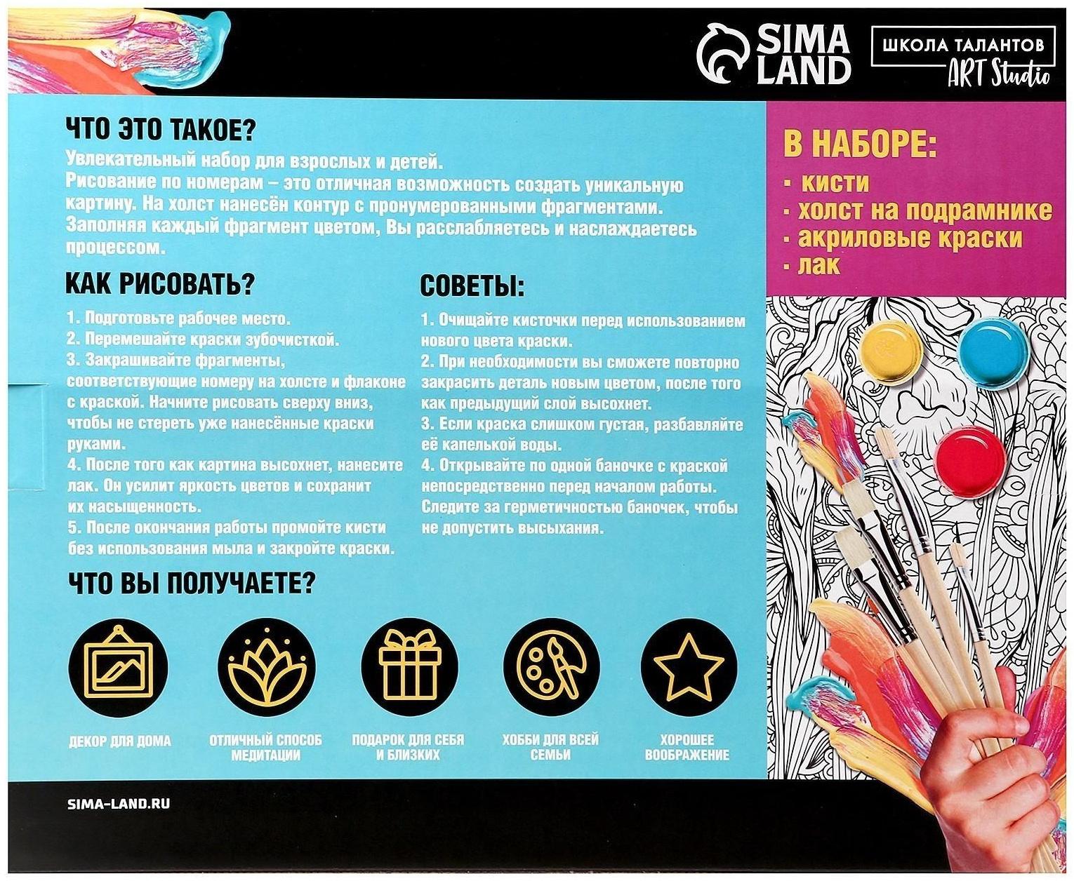 Картина по номерам на холсте «Пластичная балерина»‎, 40х50 см