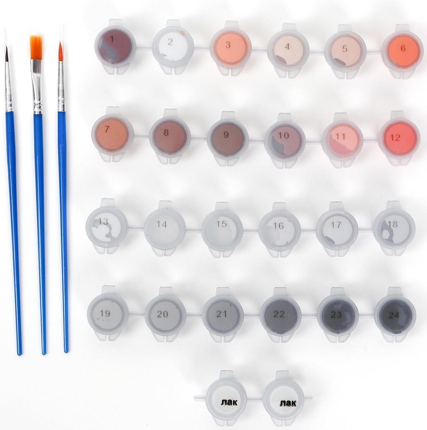 Картина по номерам на холсте «Пластичная балерина»‎, 40х50 см