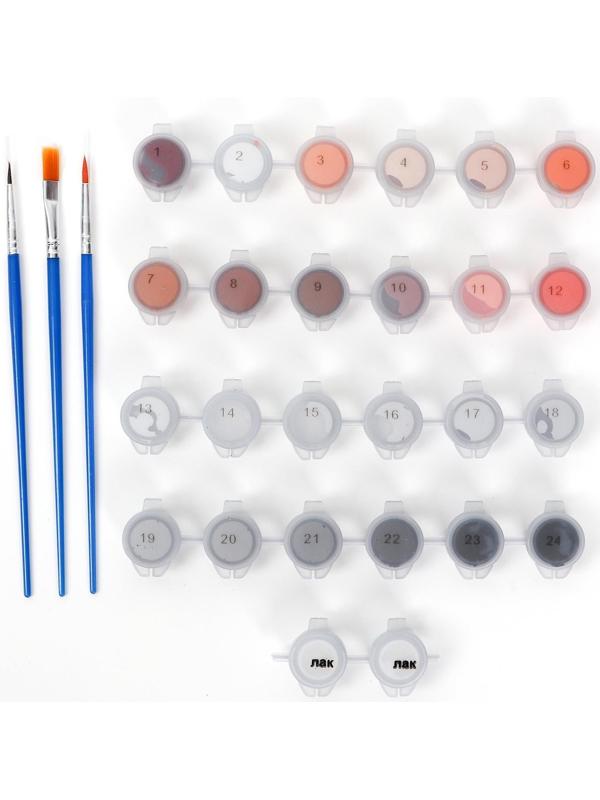 Картина по номерам на холсте «Пластичная балерина»‎, 40х50 см