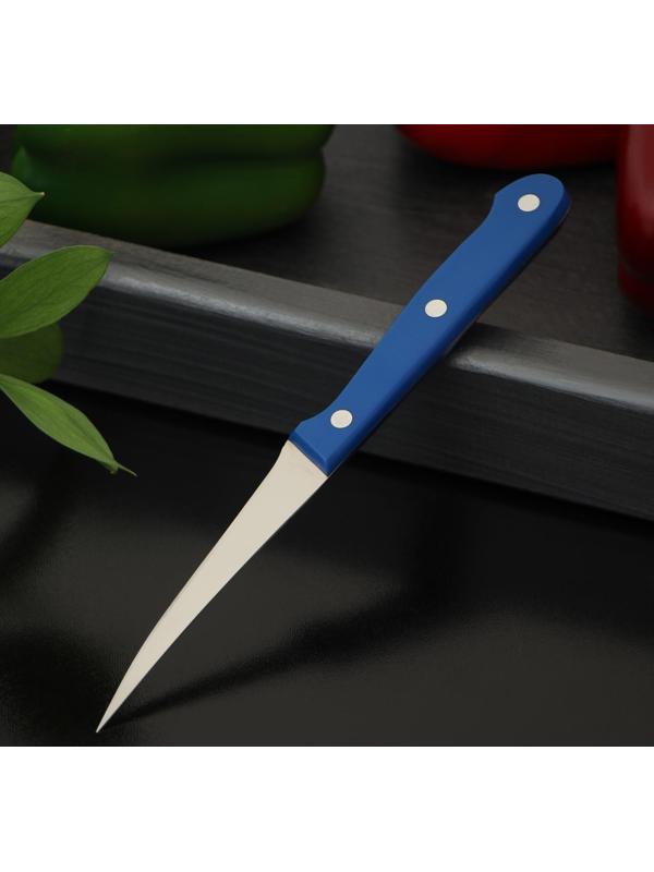 Нож кухонный «Фигурный», для карвинга, лезвие 9 см