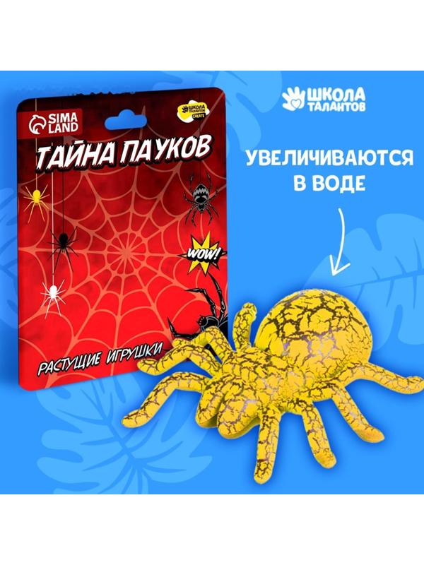 Растущие игрушки «Тайна пауков»