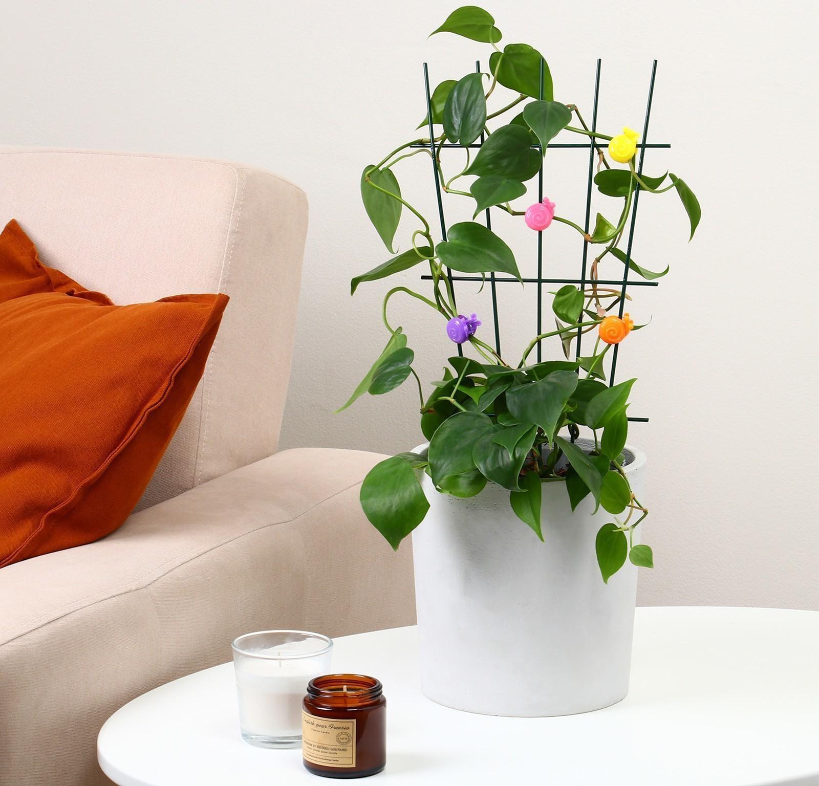 Клипса для растений «Улитка», набор 10 шт., МИКС