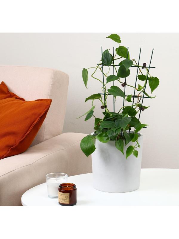 Клипса для растений «Цветы», набор 10 шт., коричневая