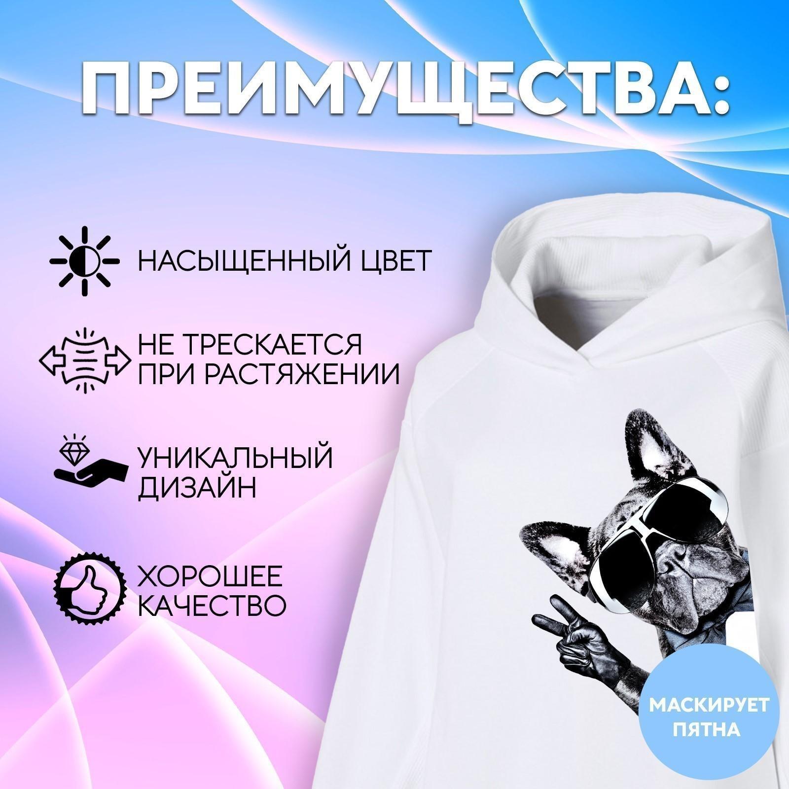 Термотрансфер «Французский бульдог», 14,5 × 21,5 см