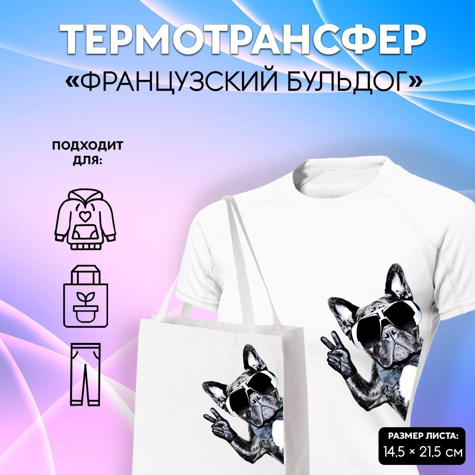 Термотрансфер «Французский бульдог», 14,5 × 21,5 см