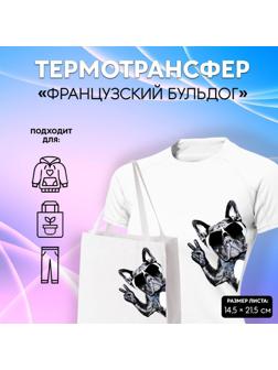 Термотрансфер «Французский бульдог», 14,5 × 21,5 см