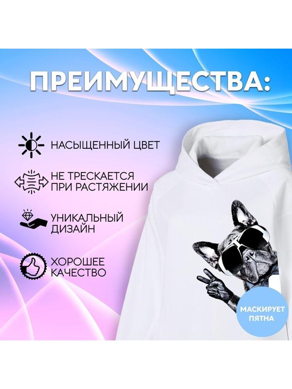 Термотрансфер «Французский бульдог», 14,5 × 21,5 см