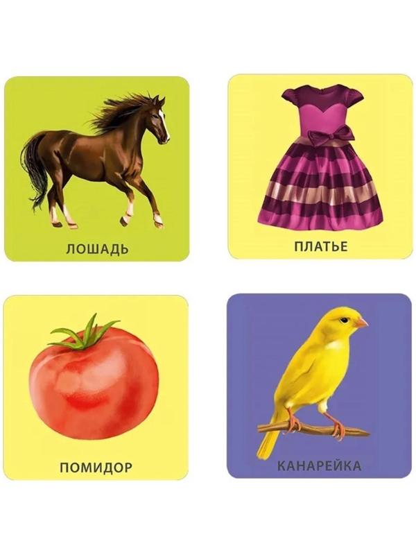 Начинаю говорить. Мои первые слова и картинки. 50 карточек