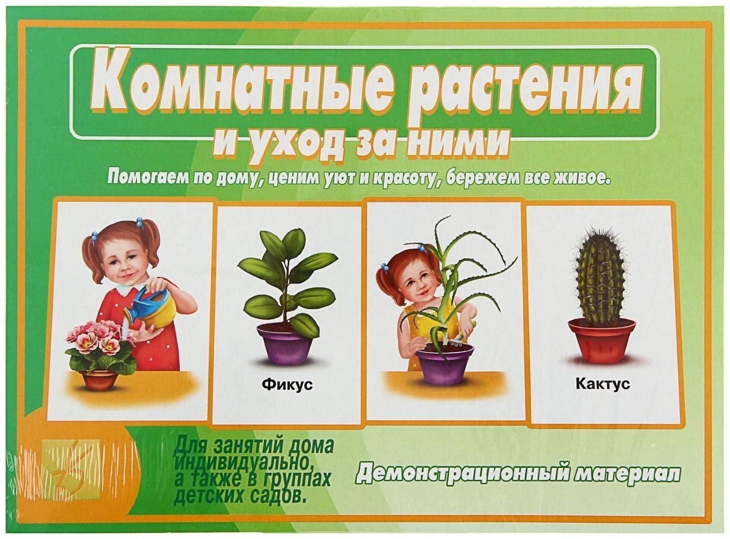 Настольная игра «Комнатные растения и уход за ними»