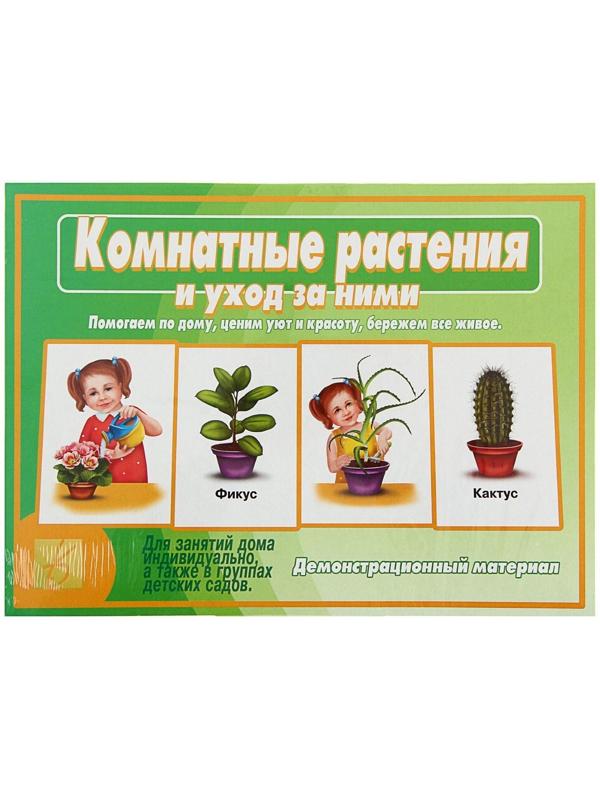 Настольная игра «Комнатные растения и уход за ними»