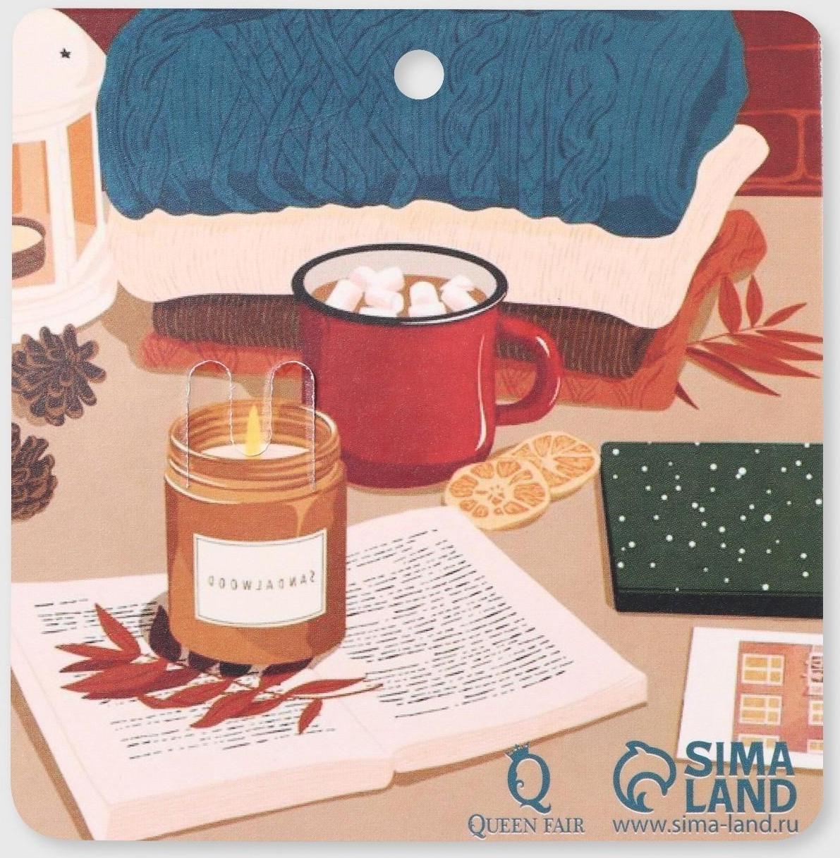 Булавка новогодняя 