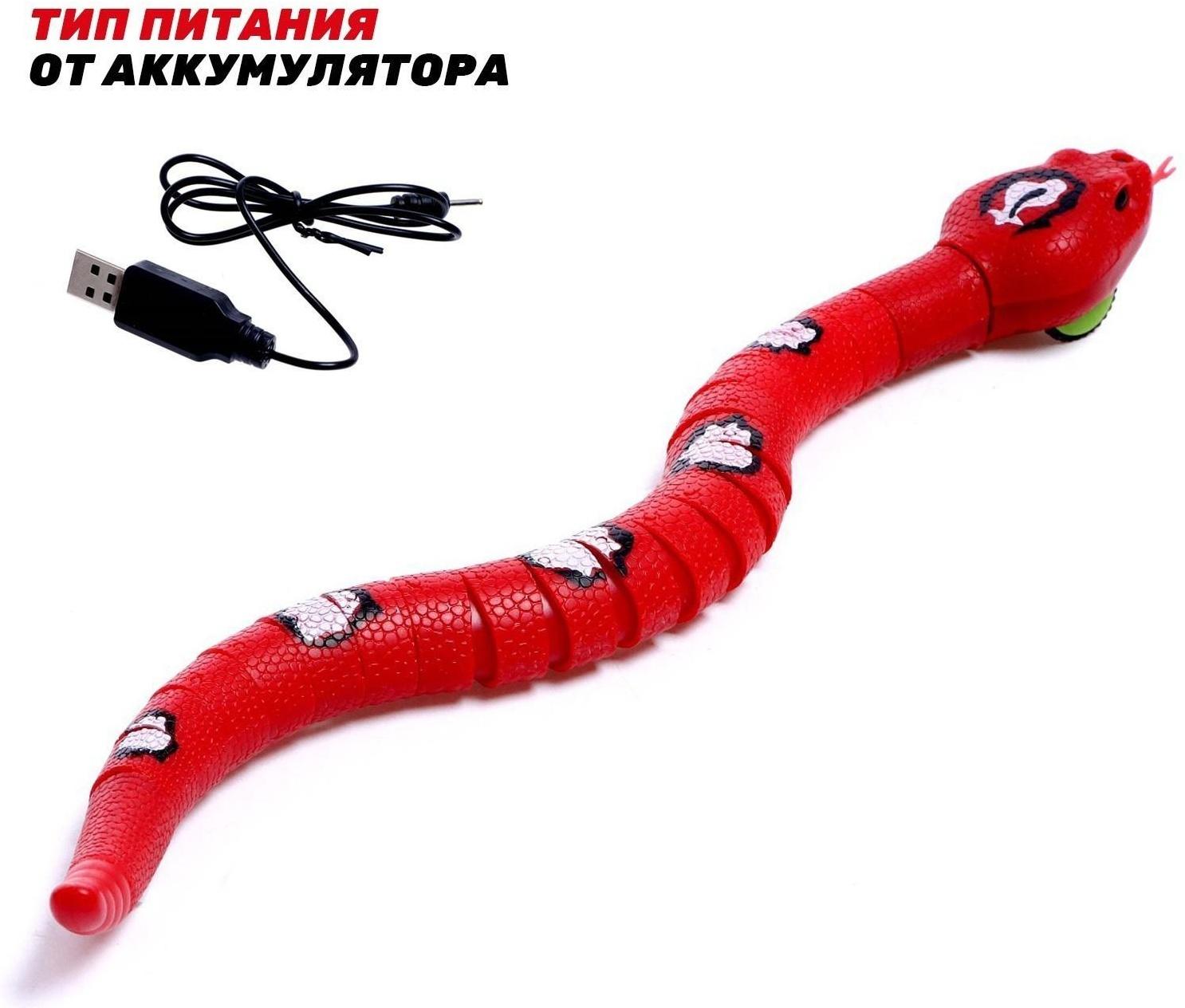 Змея радиоуправляемая «Джунгли», работает от аккумулятора, цвет красный