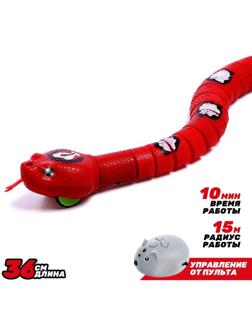 Змея радиоуправляемая «Джунгли», работает от аккумулятора, цвет красный