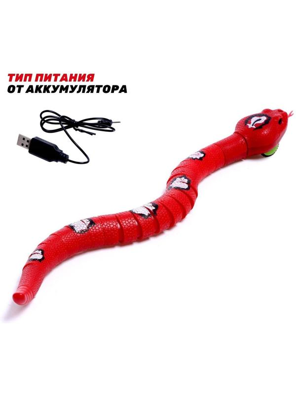 Змея радиоуправляемая «Джунгли», работает от аккумулятора, цвет красный