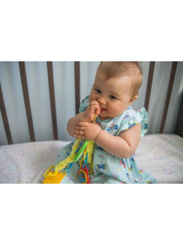 Растяжка - погремушка мягкая на кроватку/коляску «Авокадо», 30 - 45 см