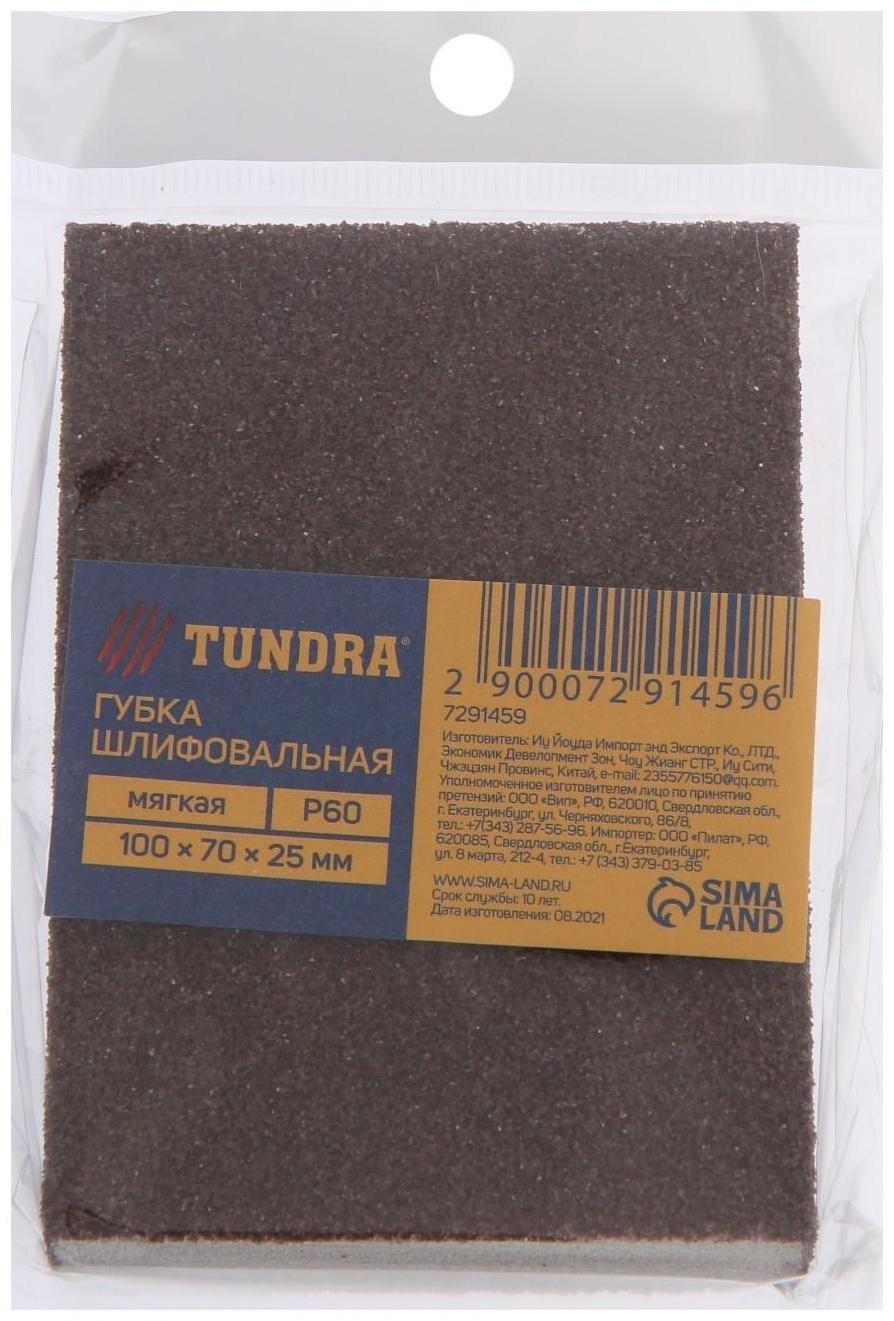 Губка абразивная шлифовальная ТУНДРА, мягкая, 100 х 70 х 25 мм, P60