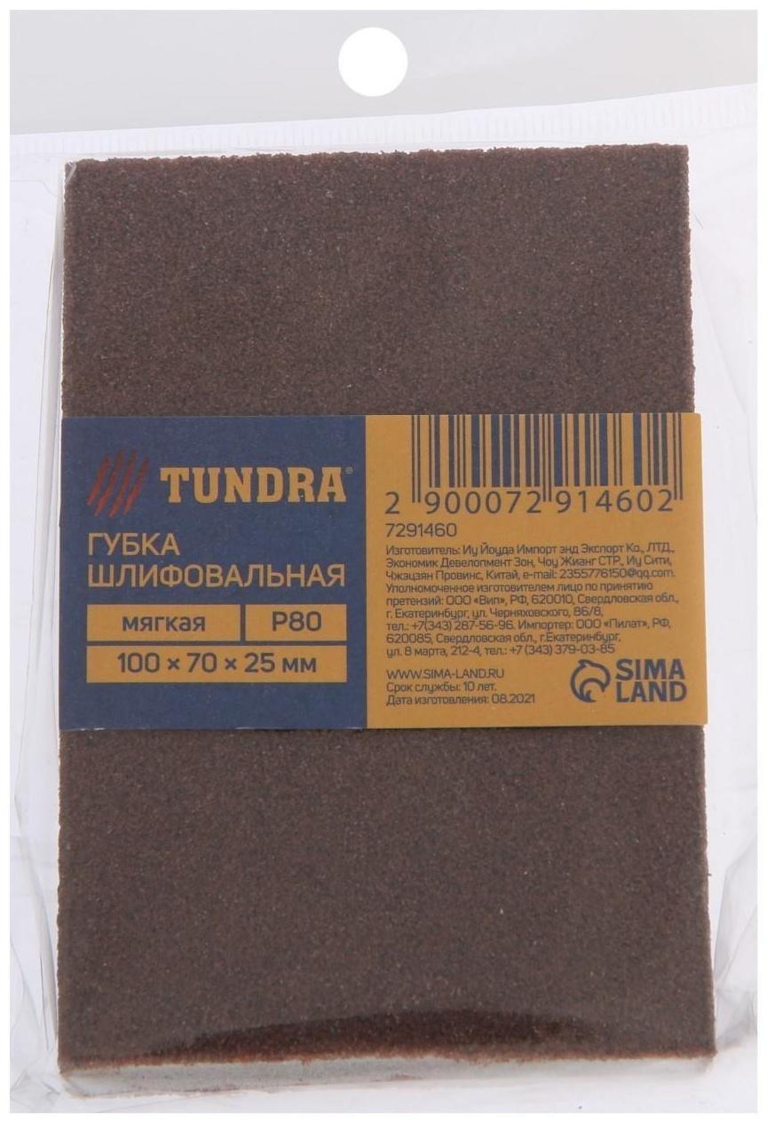 Губка абразивная шлифовальная ТУНДРА, мягкая, 100 х 70 х 25 мм, P80