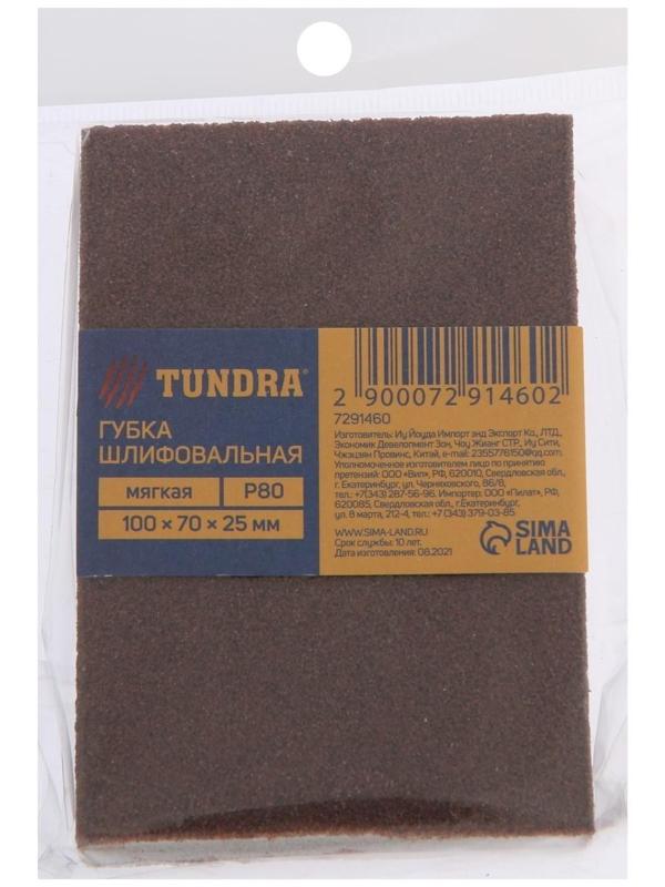 Губка абразивная шлифовальная ТУНДРА, мягкая, 100 х 70 х 25 мм, P80