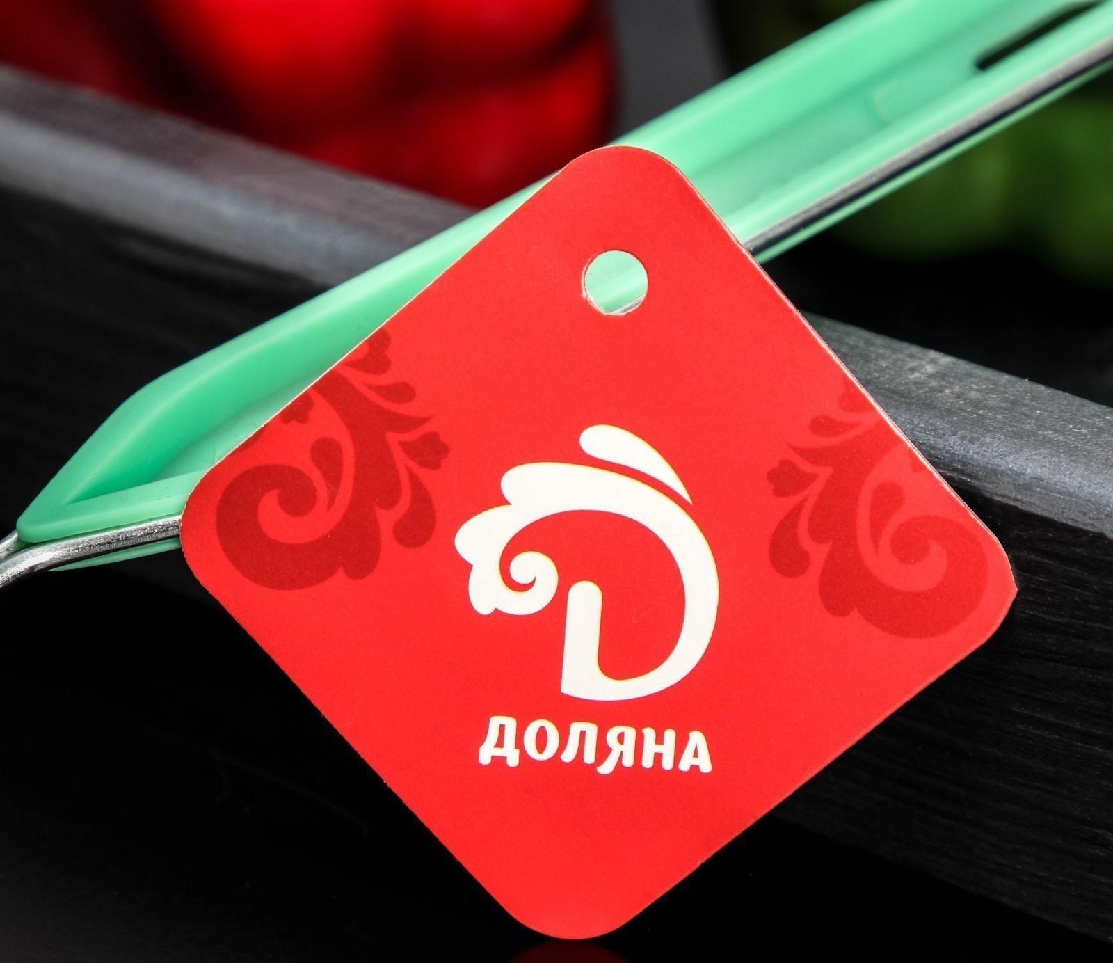 Сито с ручкой Доляна «Хозяюшка», d=8,5 см, цвет зелёный